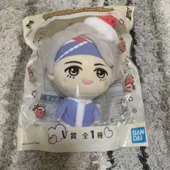 【BTS】TinyTan V賞