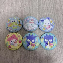 サンリオキャラクターズ 刺繍缶バッジビスケット2 6個セット