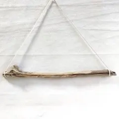 Item thumbnail for item 3eace118-3bf8-4b05-8862-d206c22b4144