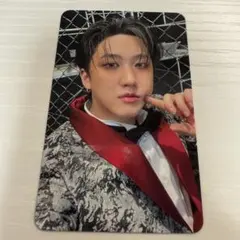 Stray Kids チャンビン KARMA アコーディオン盤封入