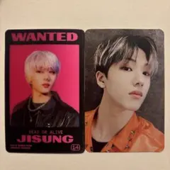 NCT DREAM JISUNG ドリム チソン トレカ まとめ売り