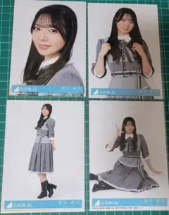 坂井新奈　日向坂46　イチャイチャ虫　封入　生写真　コンプ　②