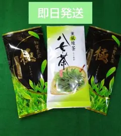 八女茶 薫風緑茶100g 1袋 知覧煎茶 極 100g×2袋