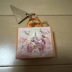 ディズニー40周年カプセルトイ　現在非売品ミッキーミニー