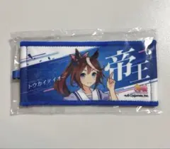 ウマ娘 6th 公式ミニ応援タオルキーホルダー トウカイテイオー