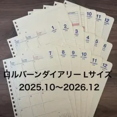 ロルバーンダイアリー Lサイズ ダイアリーのみ 2025.10〜2026.12のサムネイル