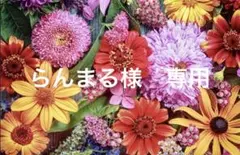 らんまる様　専用