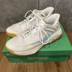 ヤニス イモータリティ 4 EP 29.0cm NIKE ホワイト