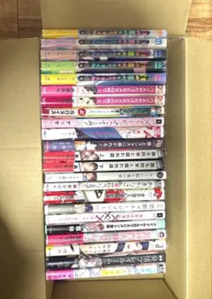 バラ売り️⭕️】商業BL （3） 9冊 - メルカリ