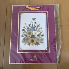 押し花用額縁 Atelier Jun 未使用