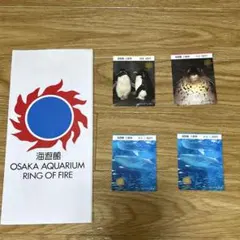 海遊館　パンフレット、使用済チケット4枚のサムネイル