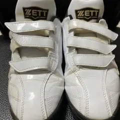 Item thumbnail for item a788a1ed-afb2-4667-9d87-6865ba54e928