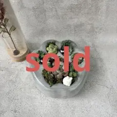 ＊ハンドメイド　そのまま飾れる　肉球型　多肉植物