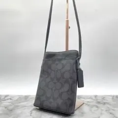 Item thumbnail for item 871ec41d-00e9-45af-ba74-a1bdad500e58