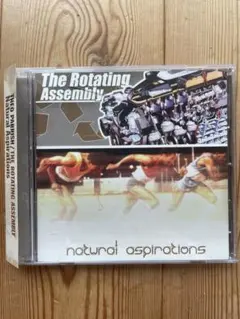 Theo Parrish Natural Aspirationセオパリッシュ