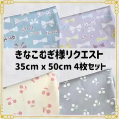 【きなこむぎ様リクエスト】35×50 ランチョンマット 給食ナフキン ４枚セット