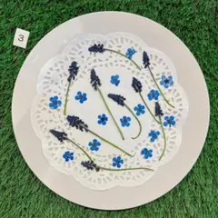 Item thumbnail for item 774025a1-721e-4be7-a615-a83db0ed70ea