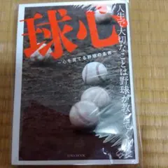 Item thumbnail for item 4de865be-b012-4512-97df-74b42d5caee4