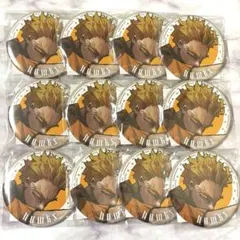 ホークス 缶バッジ 15個 僕のヒーローアカデミア ヒロアカ ジャンプ