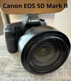 2026年最新】canon eos 5d mark ii レンズの人気アイテム - メルカリ