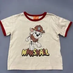 美品　パウパトロール マーシャル Tシャツ 110cm ロッキー チェイス