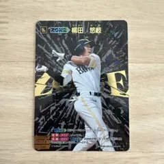 2026年最新】柳田悠岐 ドリームオーダーの人気アイテム - メルカリ