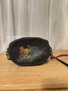 S*a様 COACH レインボー刺繍 ショルダーバッグ