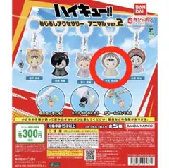 ハイキュー!! めじるしアクセサリー アニマルver.2