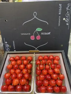 야마가타현 사가에시의 베니슈호, 1kg, 2L 사이즈 ~ 3L 사이즈