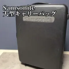 ペット用ソフトキャリーバッグ 黒 メッシュ　【Samsonite　サムソナイト】 ペット用ソフトキャリーバッグ 黒 メッシュ 【Samsonite サムソナイト