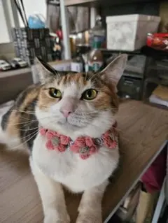 うさぎさん&桜つまみ♡猫ちゃん首輪 ③ うさぎさん&お花のつまみ♡猫ちゃん首輪♡ 和柄 - メルカリ