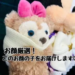 シェリーメイ　ミニーちゃん　ぬいぐるみ♡