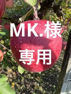 MK.様専用　高徳りんご