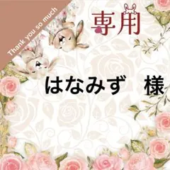 はなみず(17日～20日までお休み)様 リクエスト 3点 まとめ商品