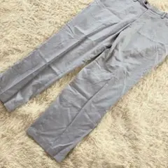 UNIQLO (91) メンズ ドライノータックパンツ