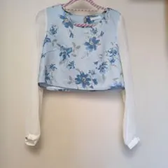 Item thumbnail for item 9d0313a8-471a-412a-9d79-88656fa5b93e