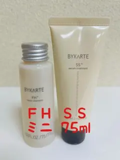 ホーユー バイカルテ ＦＨ ＳＳ セット 75のサムネイル