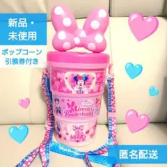 ぴかぴか様 リクエスト 2点 まとめ商品