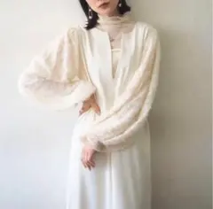 【新品未使用　タグ付き】Lumier*シアージャガードスリーブ2WAYワンピース