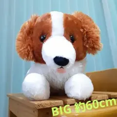 Item thumbnail for item 0c9f2abf-c35d-4512-ae16-610717566cc6