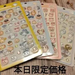 Item thumbnail for item 85a14087-84b5-4be0-9c7a-3ac9fda10283