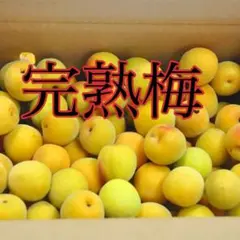 2最終和歌山県紀州産　みなべ　　完熟２南高梅　無農薬栽培　2キロのサムネイル