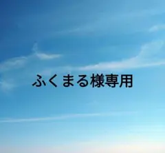 ふくまる様 リクエスト 2点 まとめ商品