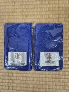 Item thumbnail for item 66a0f901-e4e5-497e-85a5-995b44445882