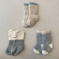 ベビー靴下 3点セット くま柄