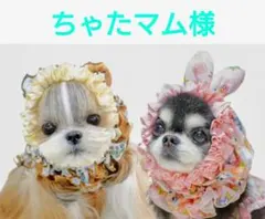 ちゃたマム様のサムネイル
