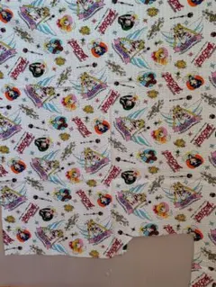 Item thumbnail for item e905d28d-924c-4ddd-bbd8-2a17c1f9f871