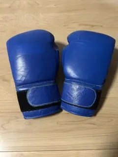 2026年最新】ウイニング グローブ 14 オンスの人気アイテム - メルカリ