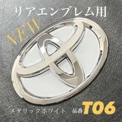 Item thumbnail for item a2eef702-60a6-4111-9901-887026e09953