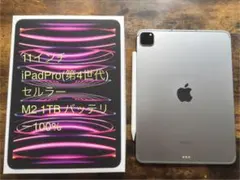 11インチ1TB iPad pro 第四世代 セルラー　バッテリー100%